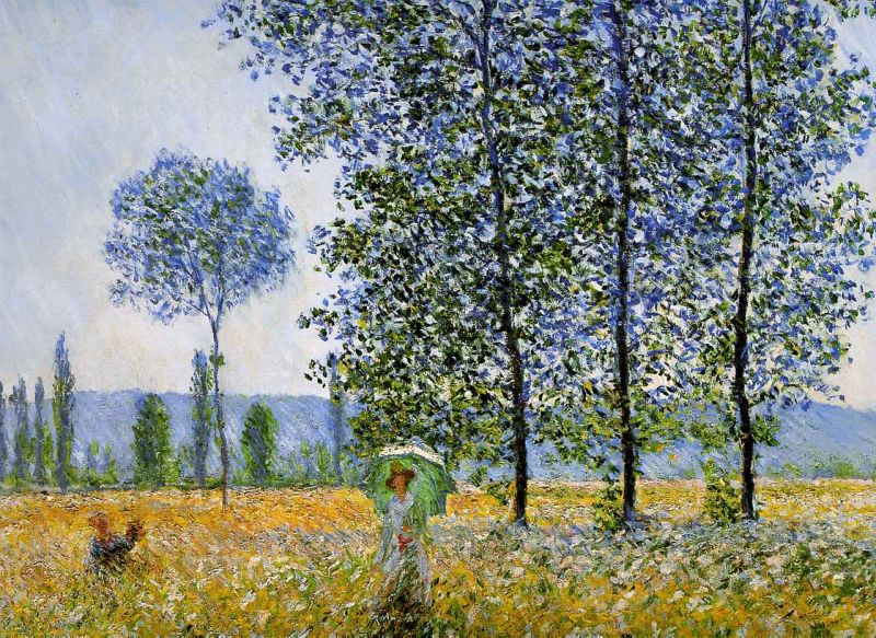 sunlight effect poplars.jpg